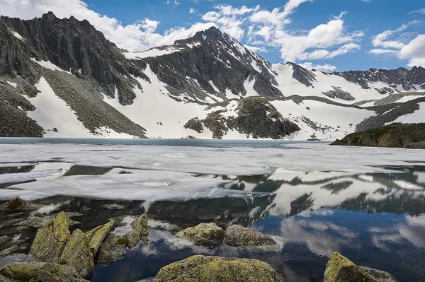 Beau paysage d'été, montagnes Altaï Russie . — Photo