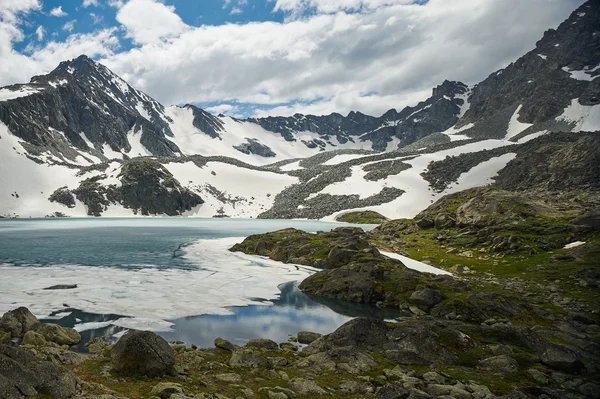 Schöne sommerlandschaft, altaigebirge russland. — Stockfoto