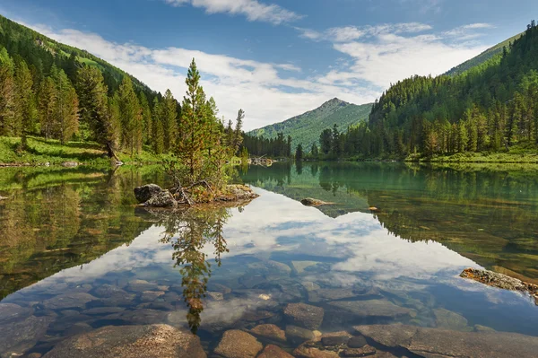 Pemandangan musim panas yang indah, Pegunungan Altai Rusia . — Stok Foto