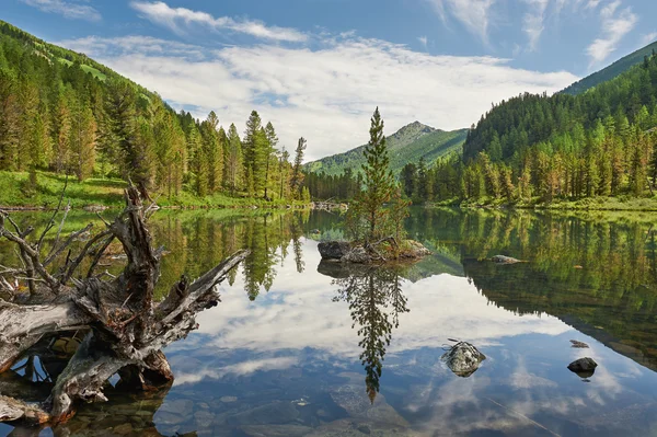 Hermoso paisaje de verano, montañas de Altai Rusia . — Foto de Stock