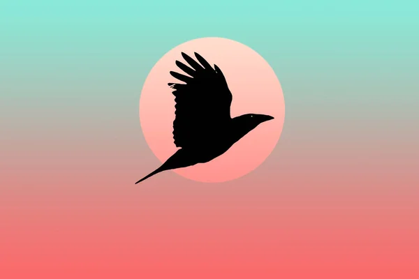 silhouette of flying bird on sunset color gradient background,illustration