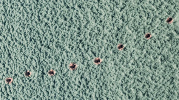 pink cat footprints on cold snowy surface,high angle view