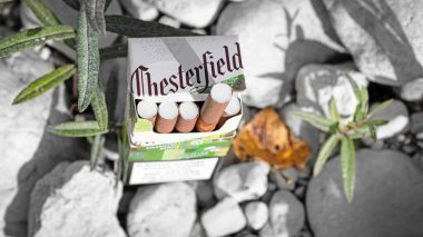 Chesterfield puro remiksi, açık hava taşları ve çevre bitkiler arasında, dokuları, kontrastları ve tütün ürünlerini doğal bir ortamda gösterir..