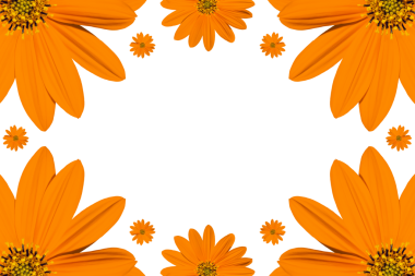 Canlı turuncu çiçekleri olan çiçek çerçevesi, pankartlar, davetiyeler, şablonlar ve mevsimlik tasarımlar için merkezi kopya alanı ile cesur bir doğal sınır oluşturuyor..