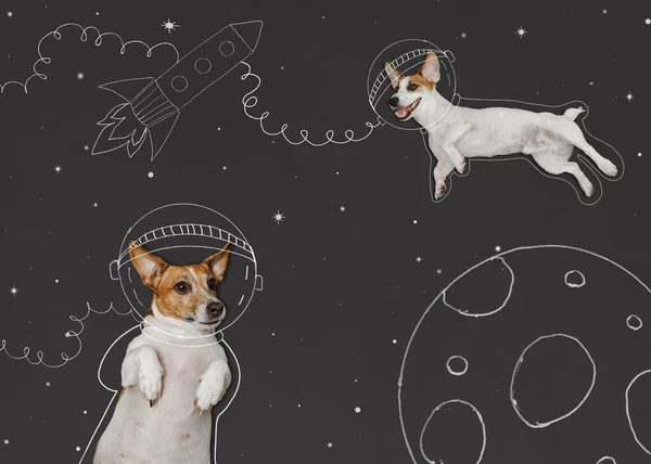 Cute dogs in the space suit drawing on blackboard. First trip to space concept. 12 april day, astronautics day, back to school, successful, future, education concept.