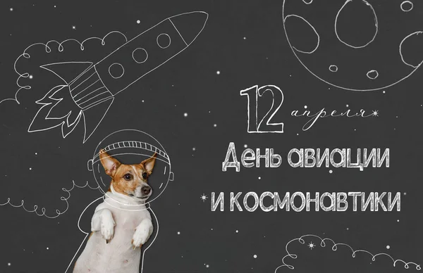 Cute dogs in the space suit drawing on blackboard from the Russian language: \
