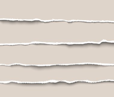 Yırtık kağıt bölücüler Web siteleri ve infographics için set