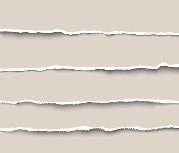 Набор порванных бумажных разделителей для сайтов и инфографики
