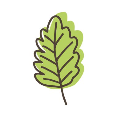 El çizimi yeşil yaprak karalama vektör simgesi beyaz arkaplanda izole