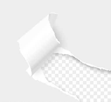 Metin için alanı olan yırtık kağıt köşesi