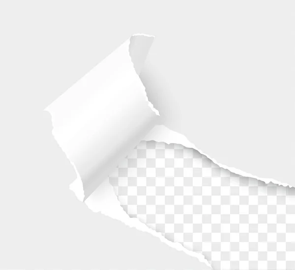 Roztržený roh papíru s prostorem pro text — Stockový vektor