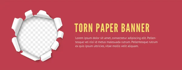 Agujero de papel con banner lateral de bordes rasgados — Archivo Imágenes Vectoriales