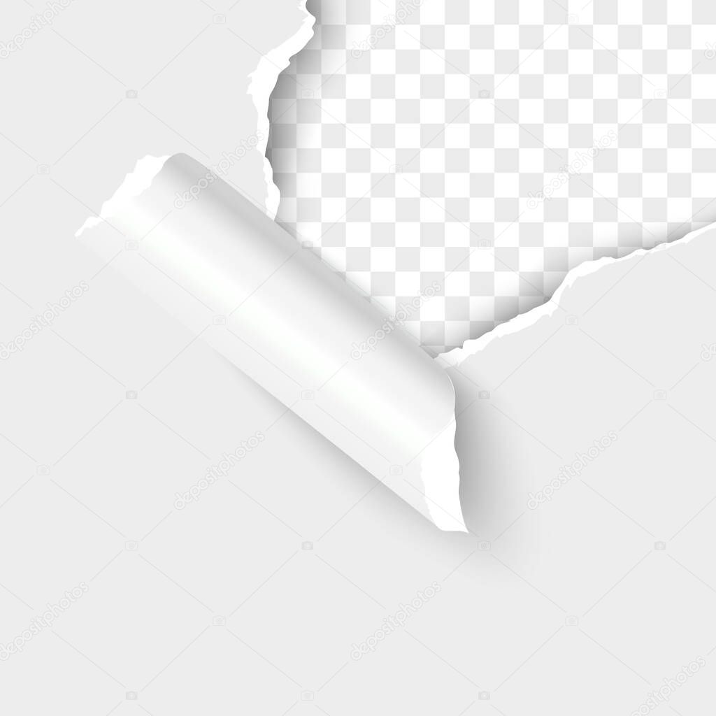 Paper torn hole edge realistic vector illustration