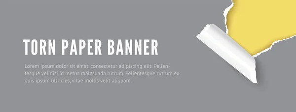 Torn hål papper banner med utrymme för text — Stock vektor