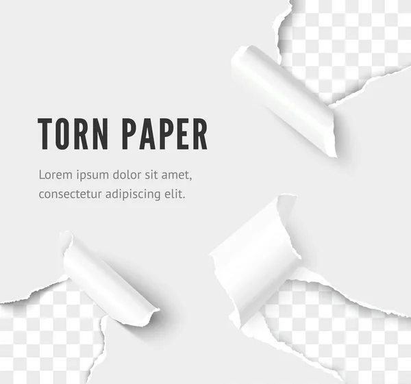 Rippa papper hörnuppsättning vektor realistisk illustration — Stock vektor