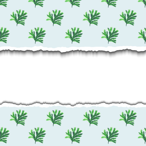 Порванная бумага
