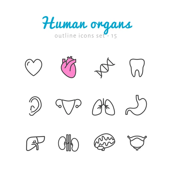 Conjunto de iconos de órganos humanos — Vector de stock