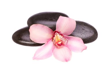 Masaj bazalt taş ve orkide çiçek üzerinde beyaz backgr izole