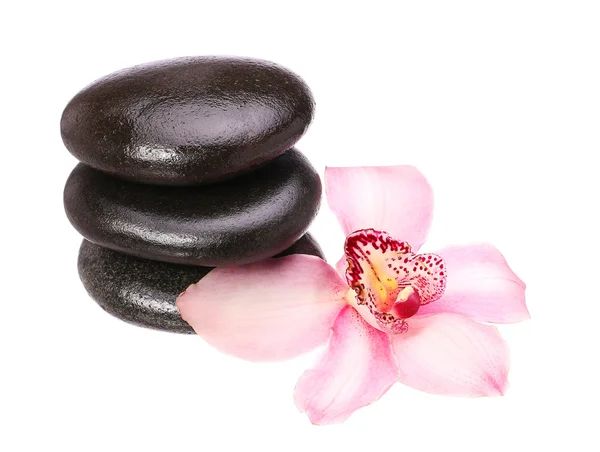 Massage basalt stones and orchid flower isolated on white backgr — Stock Photo, Image