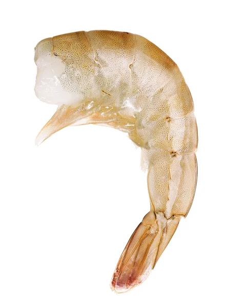 Beyaz arkaplanda çiğ karides izole edildi