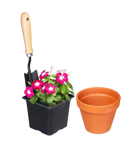 Tuingereedschap en bloemen met pot geïsoleerd op witte achtergrond — Stockfoto