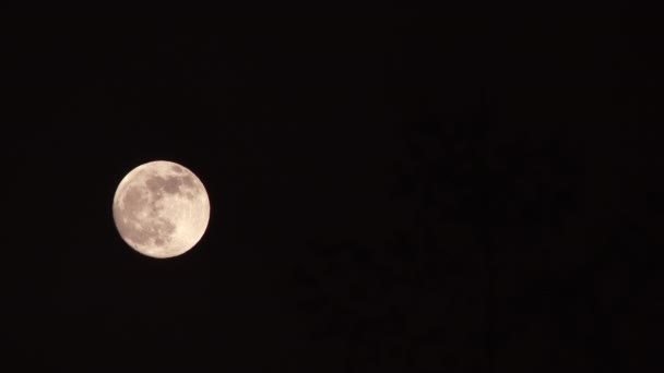 Czarna Noc Niebo Malownicze Dymem Przechodzącym Przez Blask Pełni Księżyca — Wideo stockowe