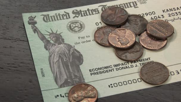 Pennies Fall Government Issues Stimulus Check Covid Pandemic — Stock Video