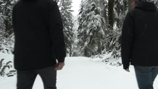 Pareja Feliz Disfrutar Paseo Por Bosque Juntos Día Nevado Invierno — Vídeo de stock