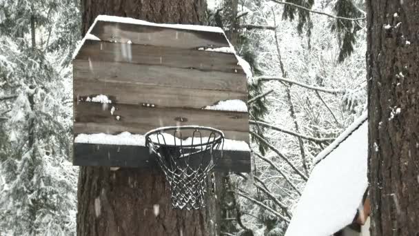 Зимний Снег Медленно Тяжело Падает Лесной Баскетбольный Обруч — стоковое видео