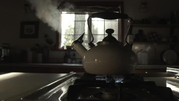 闷热的厨房里 茶壶在加热的时候大声地吹口哨 然后人们关掉炉灶 — 图库视频影像