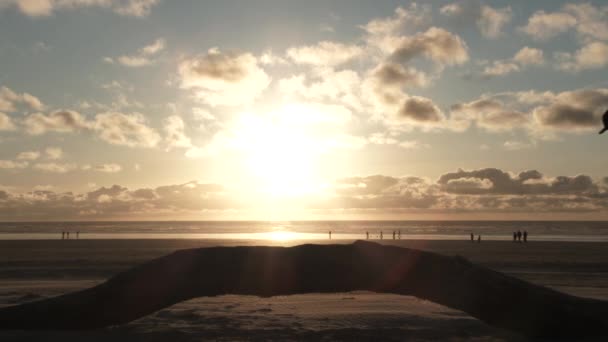 Model Frigivet Par Balance Tværs Drivtømmer Smukke Sandstrand Ved Solnedgang – Stock-video