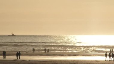 Plaj manzarası siluetli insanlar güneşli bir günün tadını çıkarıyor kuşlar uçuyor ve tekneler yelken açıyor..