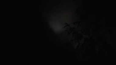 Gerçek zamanlı bulutlar, gece dolunayı, orman ağaçlarının siluetini gösterir. Sonra da çabucak zifiri karanlığa döner..