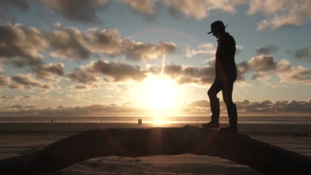 Óceáni Napsütés Sziluettjeként Sétál Fel Fára Hogy Élvezze Gyönyörű Naplementét Stock Videó