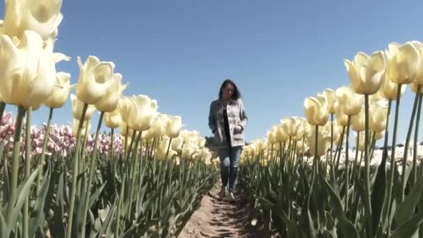 女人走在一排黄色的郁金香上 在美丽的春日里 她停下脚步闻到花儿的芬芳 相机在向蓝天跃进 — 图库视频影像