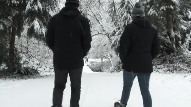 Duas Pessoas Aparecem Trilha Nevada Descem Colina Dia Inverno Floresta Gráficos De Vetor