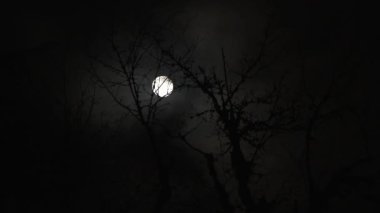 Karanlık gece gökyüzünün geniş açılı görüntüsü dolunaydan geçen bulutlarla..