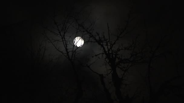 Szeroki Kąt Ujęcia Ciemnego Nocnego Nieba Chmurami Mijającymi Pełnię Księżyca — Wideo stockowe