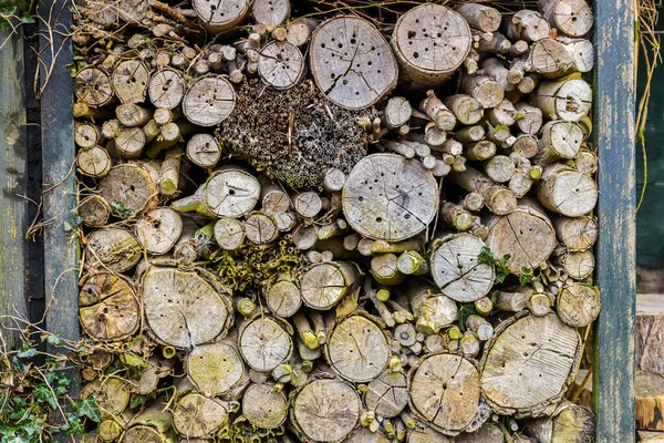 Natürliches Insektenhotel oder Käferhaus Stockbild