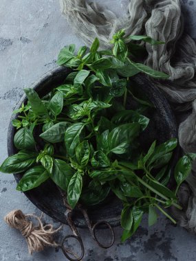 Beton arka planda bir yığın fesleğen