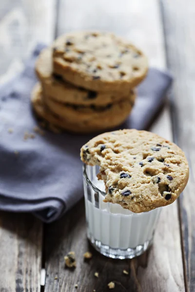 Chocolate chip cookie — Stock Photo, Image