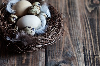 Paskalya yumurtaları