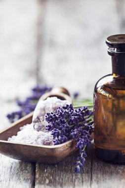 ahşap zemin üzerinde lavanta