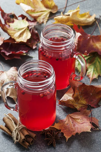 Cowberry hot drink — Stock Photo, Image