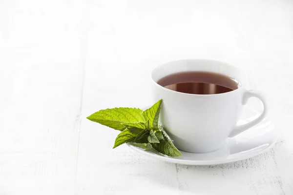 Té de menta sobre fondo blanco —  Fotos de Stock