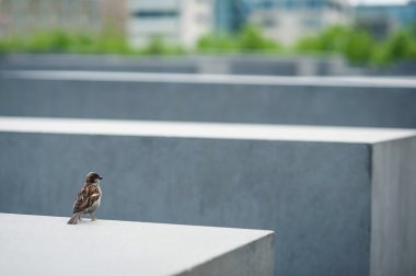 The Holocaust Memorial clipart