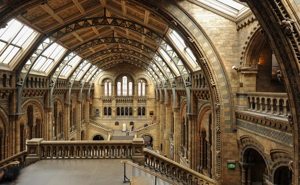 Interior view of Natural History Museum Stock Photo