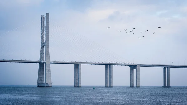 Vasco da Gama 大桥塔霍河 — 图库照片