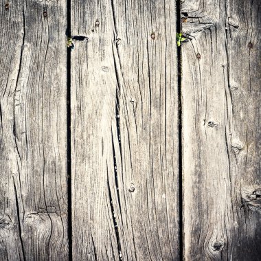Wood texture background. Filtered image. clipart