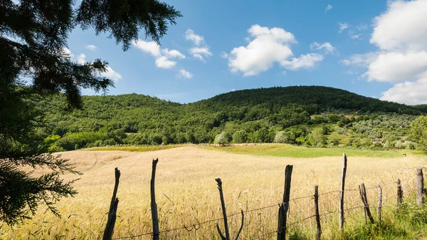 Paesaggio rurale della Toscana . — Foto Stock